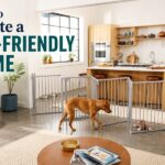 How to Create a Pet-Friendly Home
