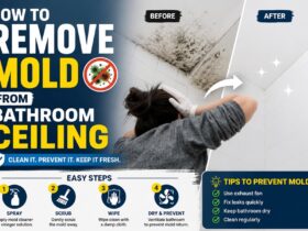 how to remove mold from bathroom ceiling